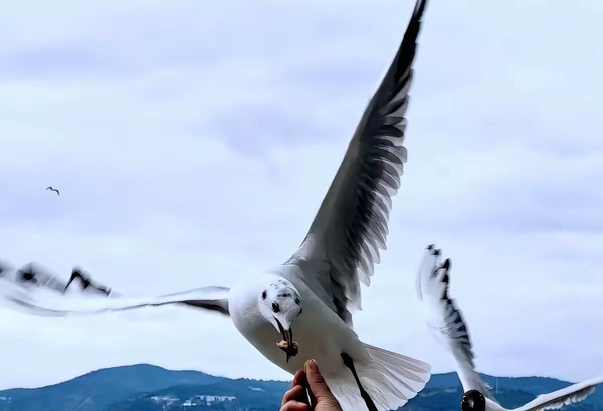 都在说，美国要收手了，准备坐下来和谈了。
我告诉你，这才是最危险的信号。
 
这