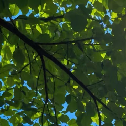 世界上最美丽的风景，就是你有一颗善良的心，散发着优美的磁场和魅力，走到哪里，就照