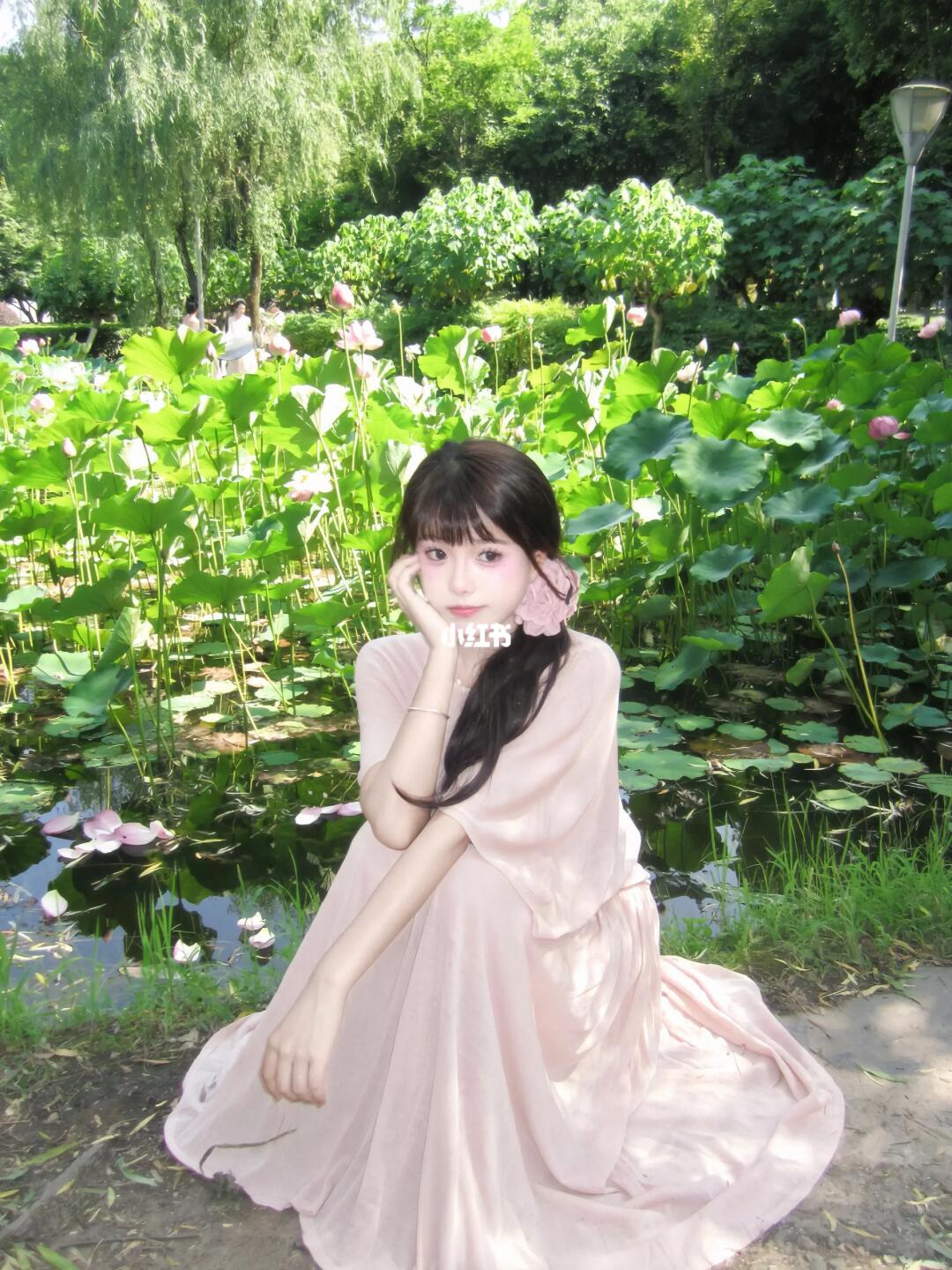 渺渺清风 荷田微漾🪷