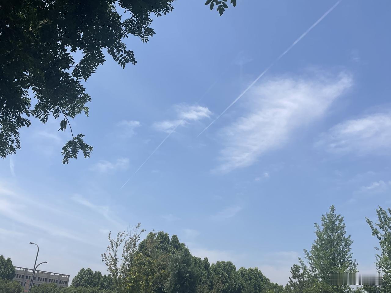 【苏幕遮•无情炎】
无情炎，多情雨。
电闪雷鸣，解了烦心溽。
草木葱茏犹楚楚，