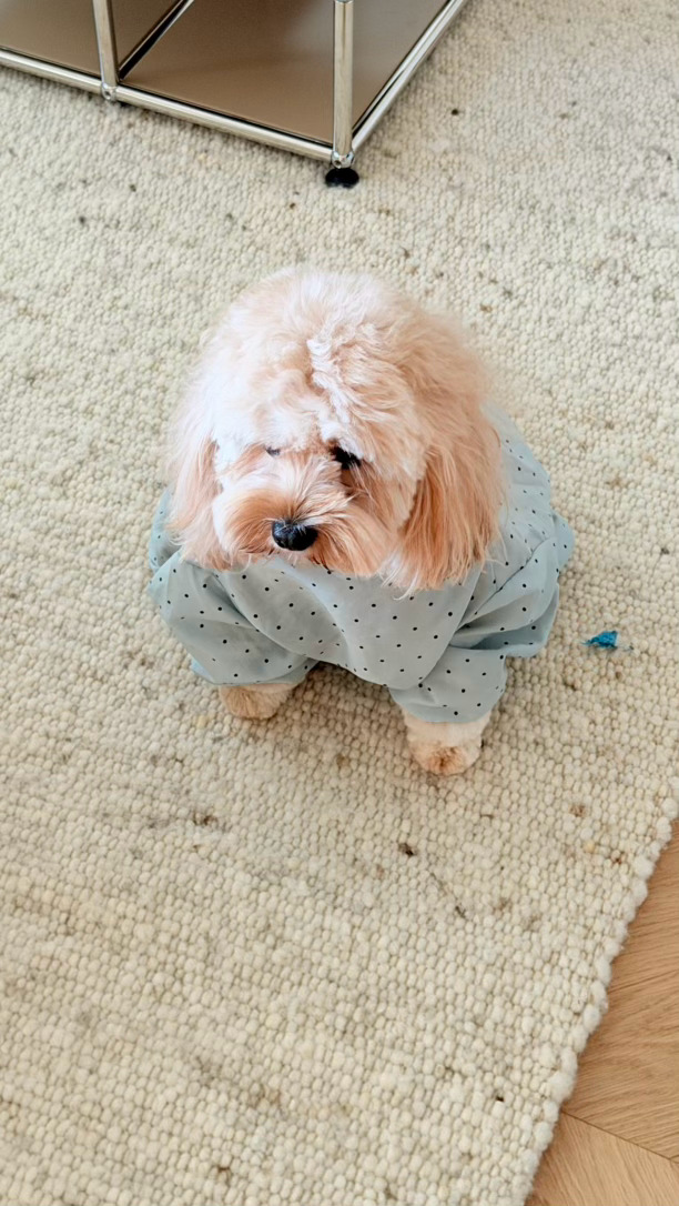 给孩衣服买太大了一坨哈哈哈 