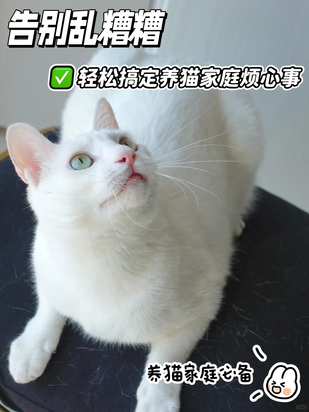 告别乱糟糟！养猫家庭必备的粘毛器！