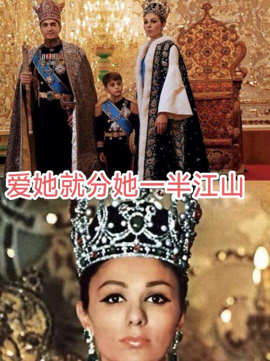 爱她就分她一半江山（九）