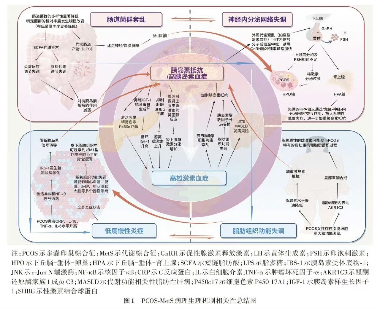 医生称多囊卵巢综合征名字害惨女性¹ 现在不叫老的名字“多囊卵巢综合征”了，国际上