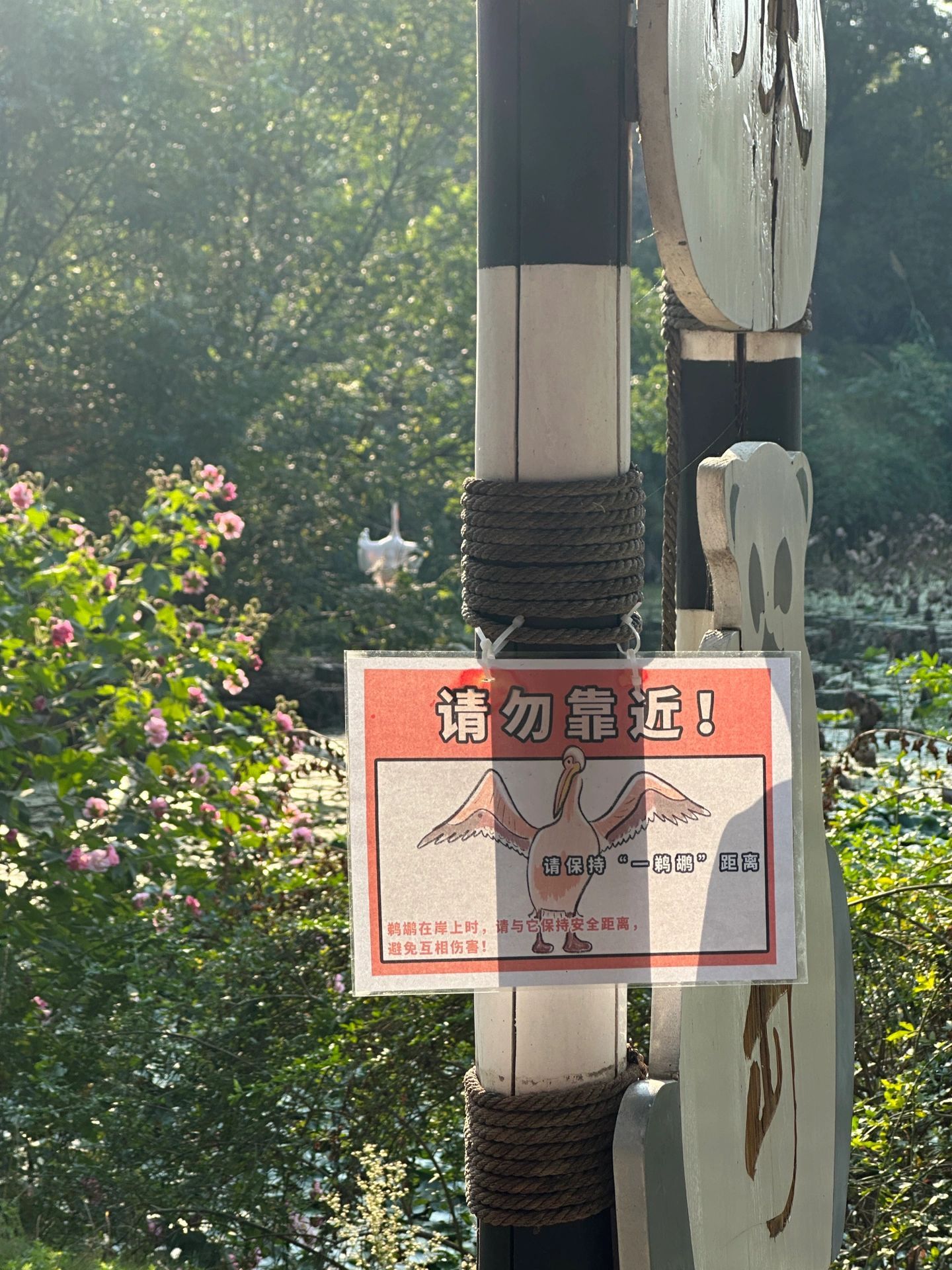 小动物会惩罚每一个不看指示牌的人 ​​​
