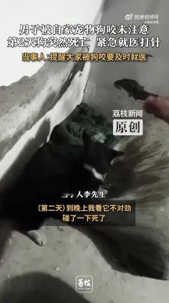 震惊！主人被狗咬后第二天狗竟意外死亡，主人惊慌赶紧打针，事件引发热议！

（素材