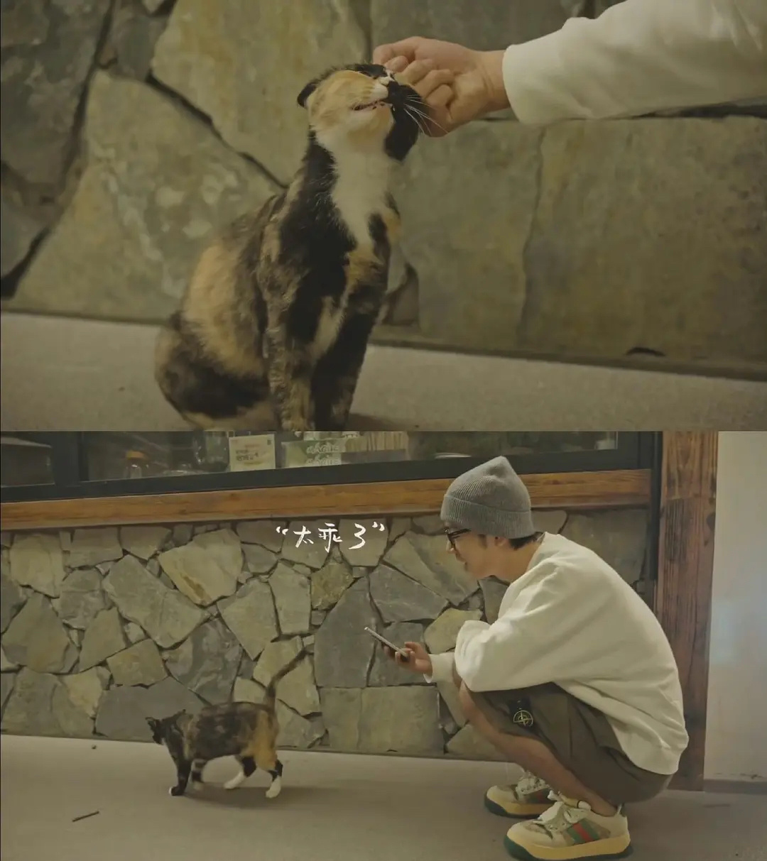 #肖战和猫#能看出来肖战很爱猫咪，肖战整个人都透着温柔温暖，大帅哥 ​​​