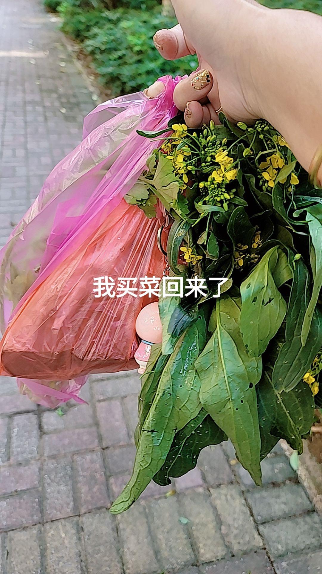 我买菜回来了#抖音记录我的日常生活 #纯天然绿色蔬菜 #我的生活点滴