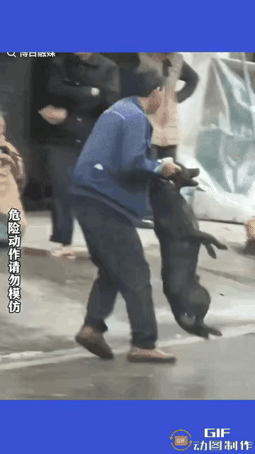 空手制服恶犬，终于碰到狠人了！
平时恶犬伤人，普通人大多只能躲着跑，这次这位大哥