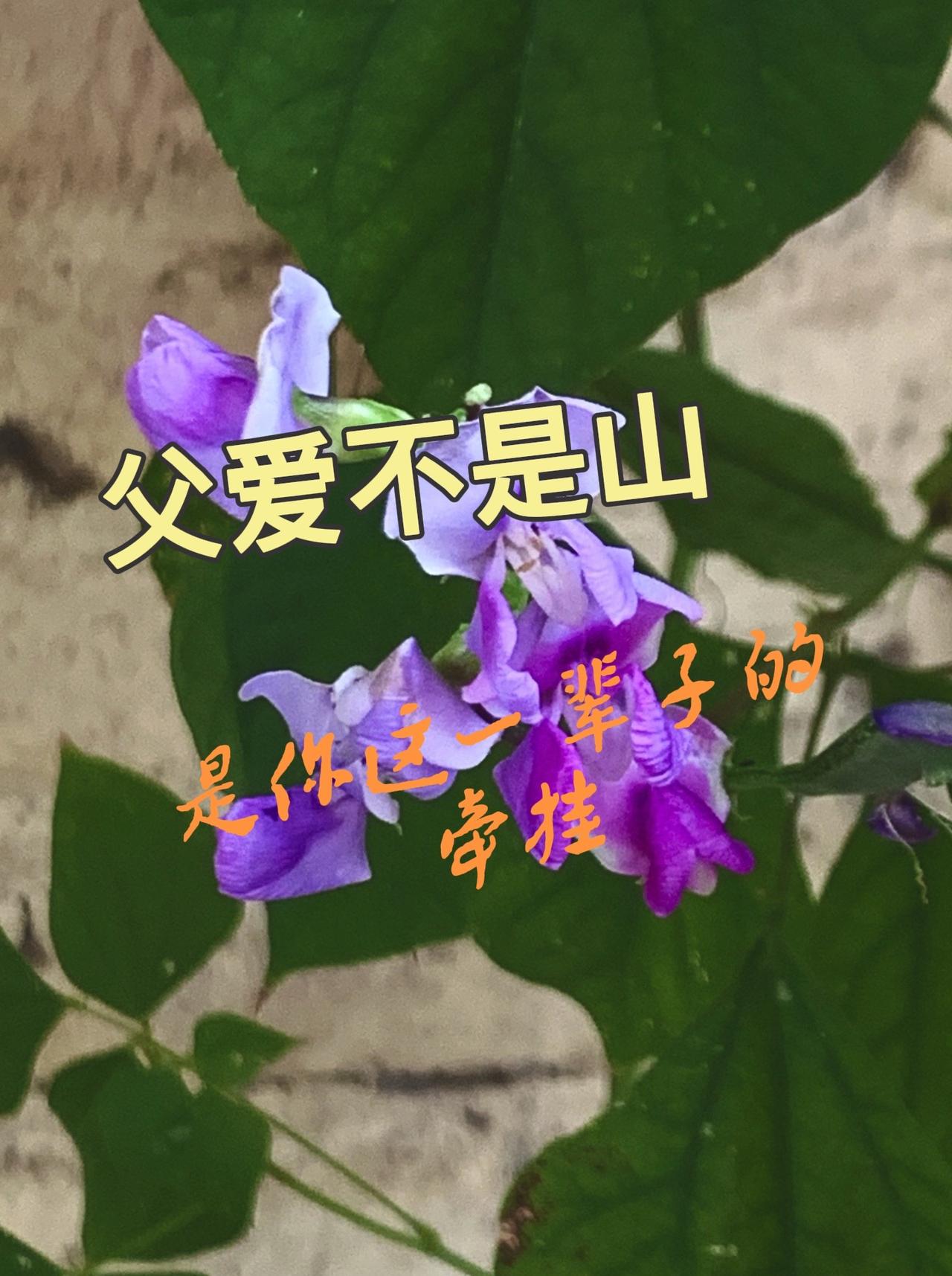 。从来不会忘记，为了10块钱的学费，你借了3家；也不会忘记，你舍不得吃的小麦，用