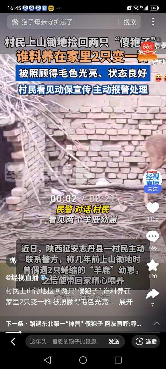 《太行山村上演