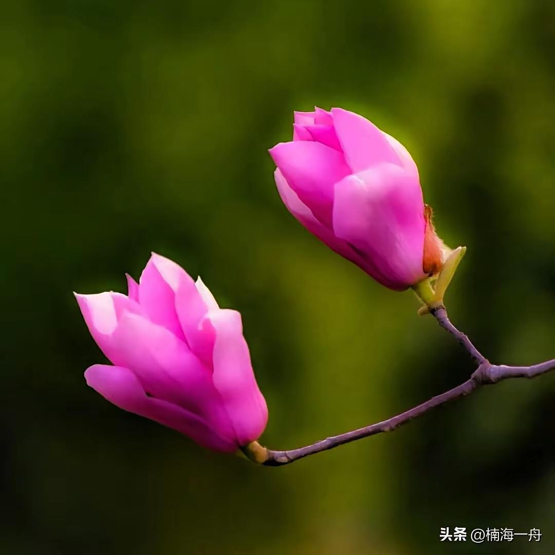 嫁好郎、娶好妻，真正的底线就这几条
 
一、女人嫁郎，守住这几条底线，日子差不了