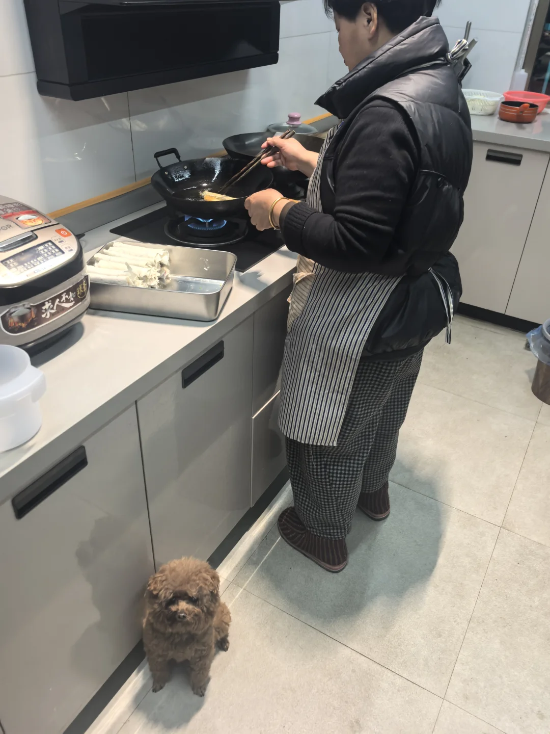 过年小狗在家干什么？