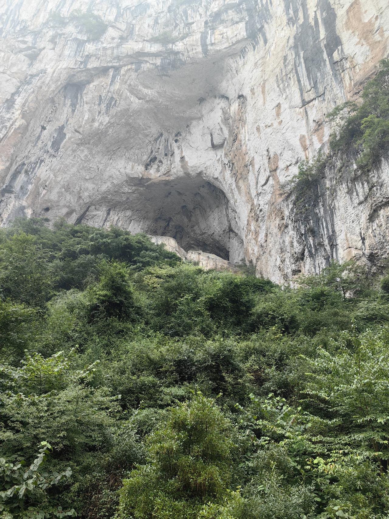 都是赢家。第一天卖出的都是高手[赞][赞][赞][赞][赞]
