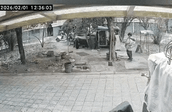 太惨烈了，江苏连云港，两个孩子在小区放烟花时，不慎点燃了一个放在小区角落的狗笼，