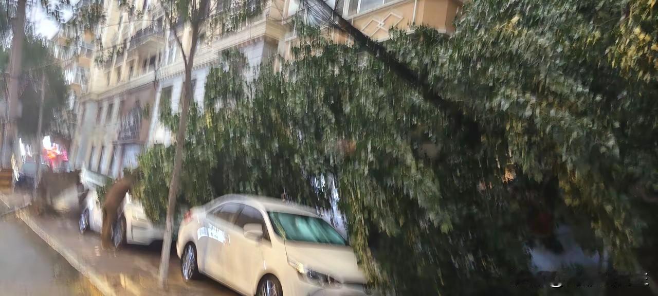 有粉丝给我留言说“我知道你是哈尔滨人，总听你讲民生，哈尔滨沙尘暴严重吗，真像网上
