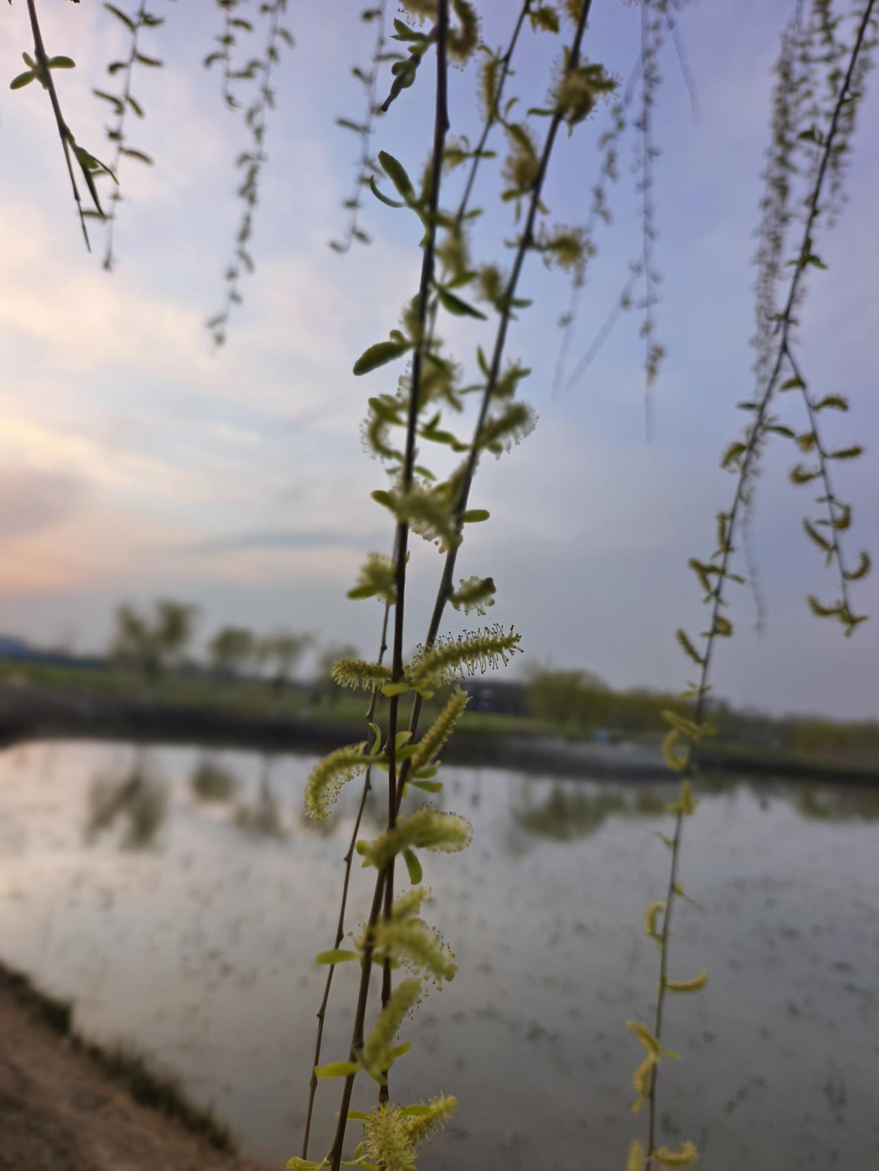 再贵的东西除以365都会变得很便宜，再小的努力乘以365都会变得很伟大。
那些看