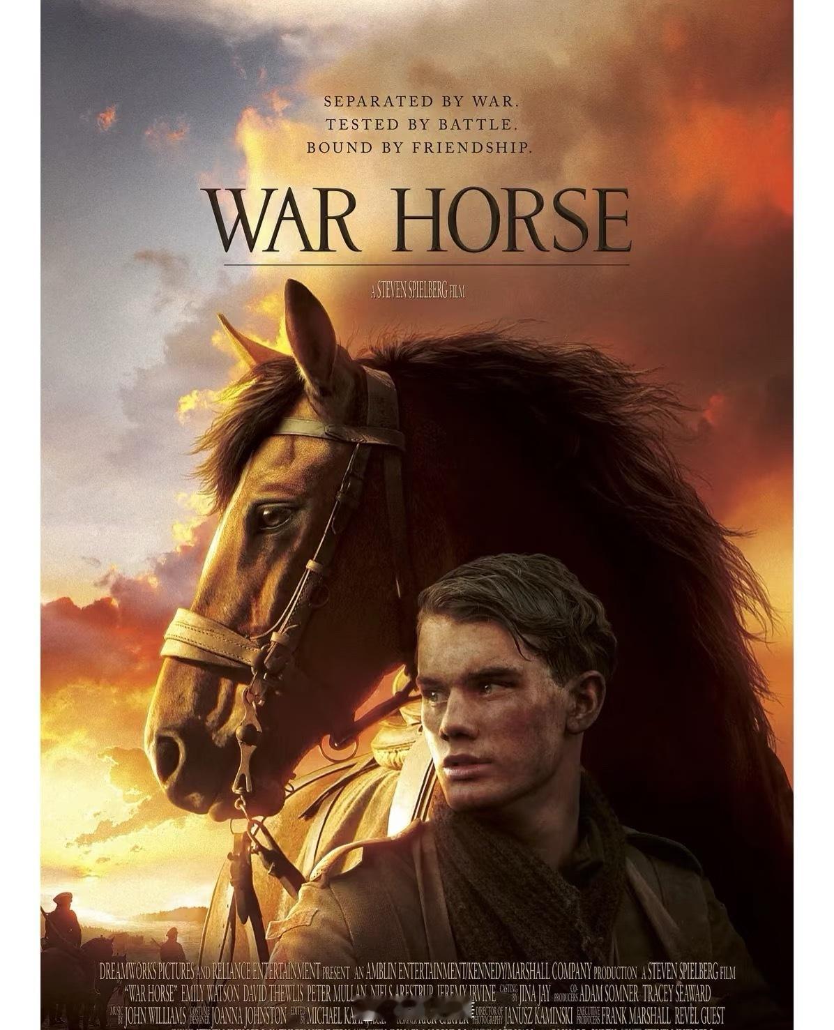 所有人，都去看这部电影《战马》！🐎这不是请求，是命令，是Order！！ ​​​