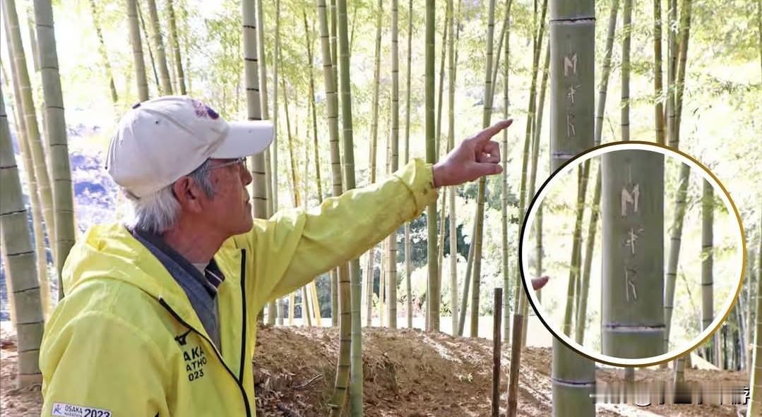日本伏见稻荷大社竹林严重受损，数百根竹子遭破坏与涂鸦。

日本京都的知名景点伏见