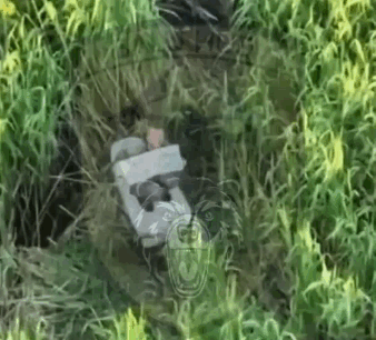 在赫尔松克林基附近，1名在发动袭击后幸存的俄军士兵举着牌子“乌克兰最棒，我想投降