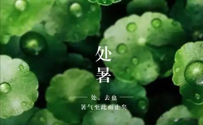 今日处暑，老辈说“处暑有三怕”，指的都是什么？
 
2026年8月23日，农历七