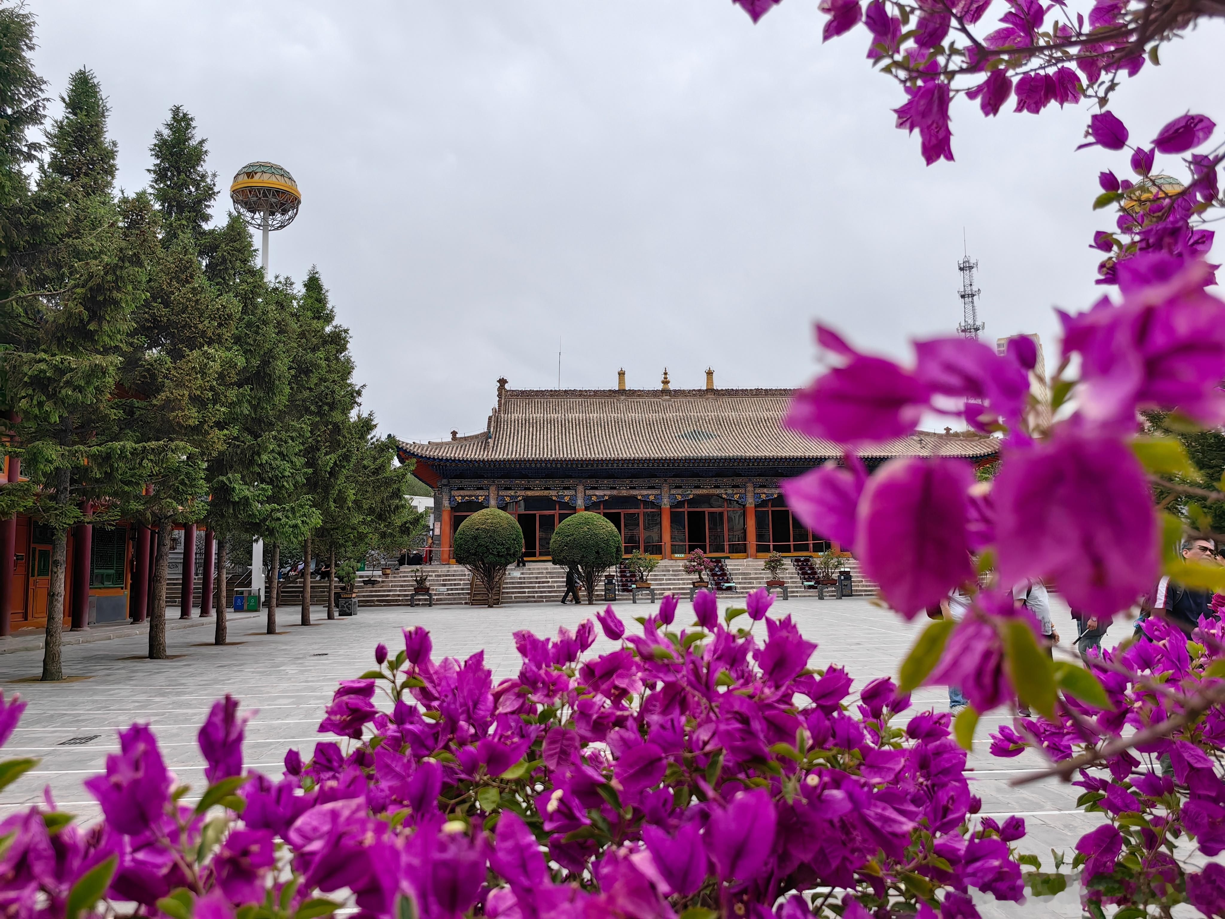 我的2026 青海西宁 东关清真大寺第七批全国重点文物保护单位。西宁东关清真大寺