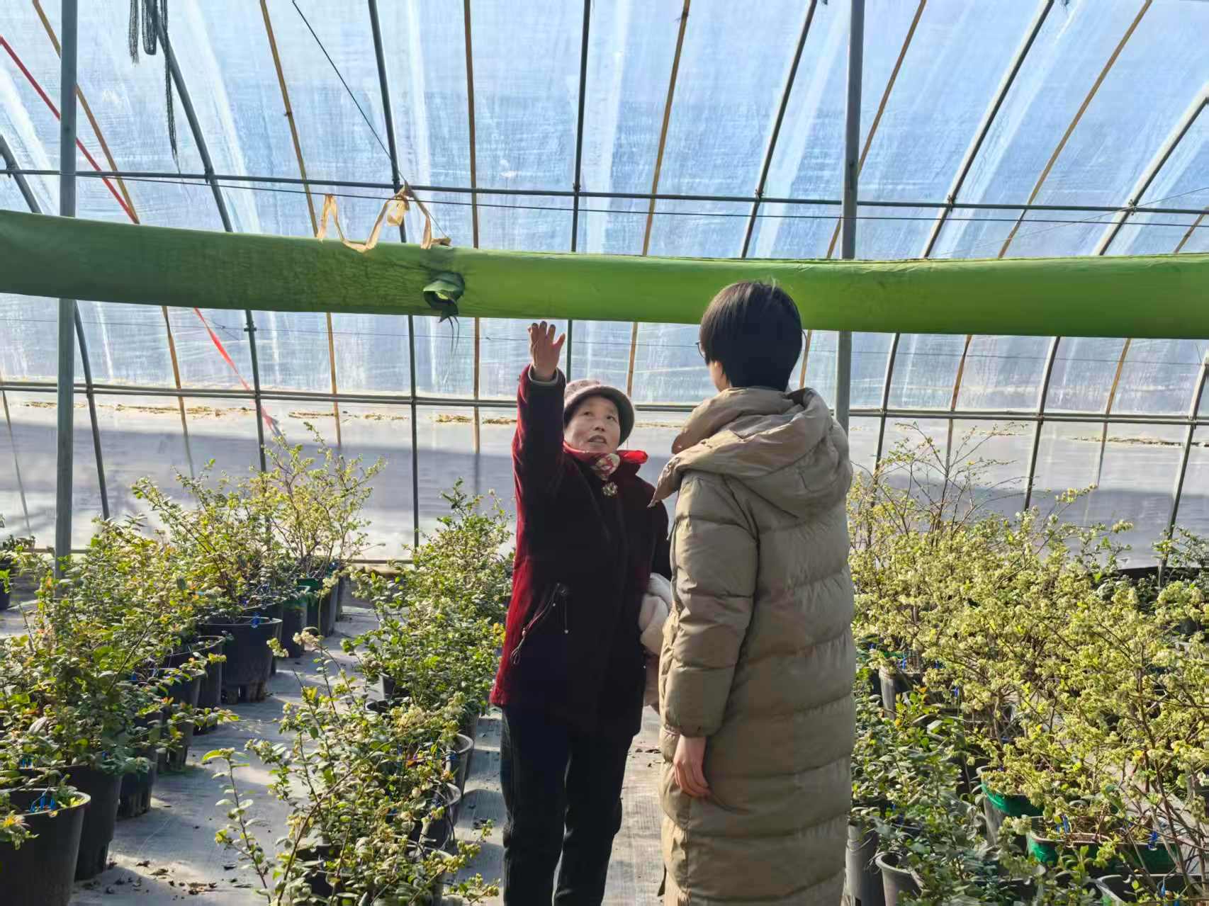 秦岭笑谈 【田垄藏新机，实践悟农兴】2026年1月22日至23日，带着对乡村发展