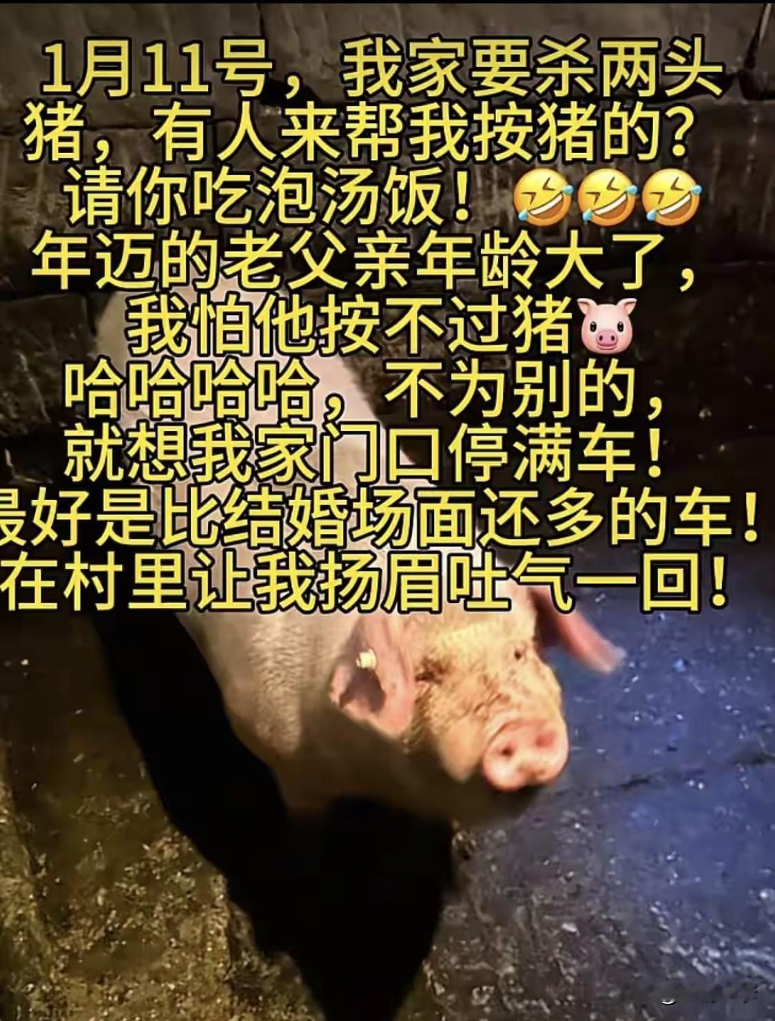 深更半夜了，

凌晨12点半了，

我现在毫无睡意，都怪这个“刨猪汤”。

哪位