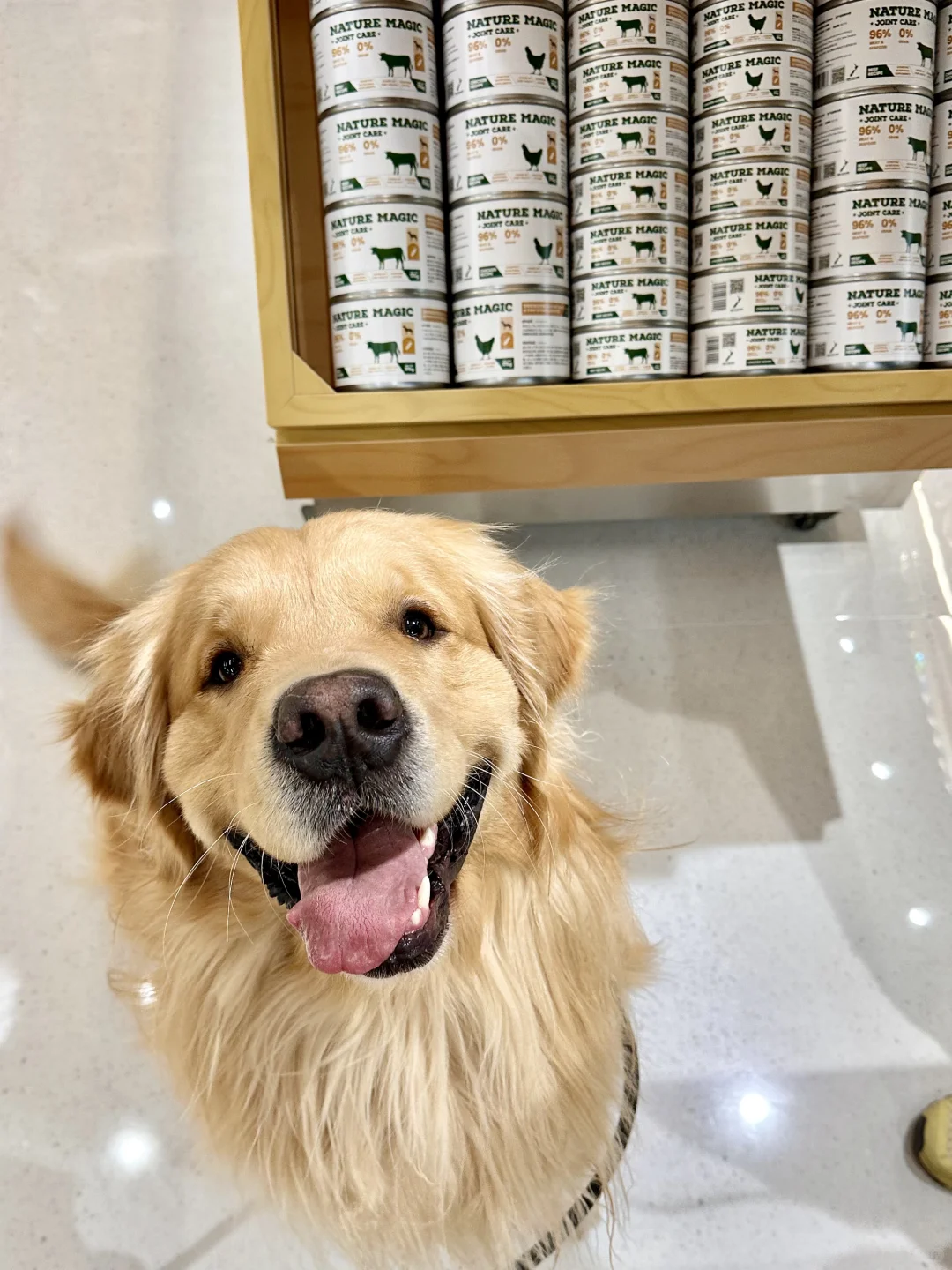 帕帕拉兹你怎么又双叒叕开分店啦！