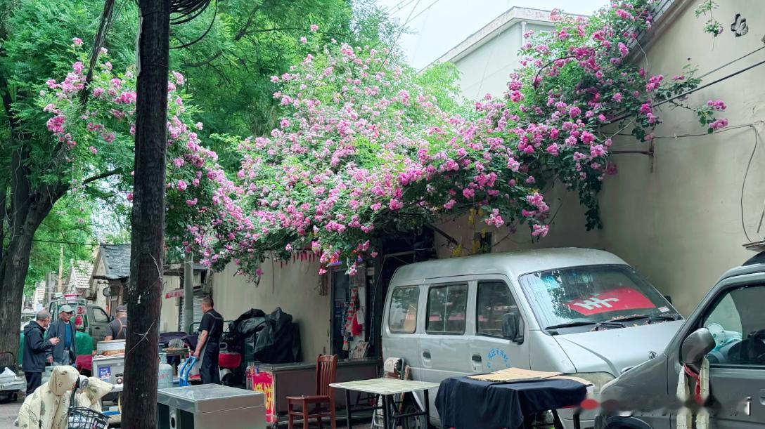 今天骑上共享单车，顺着革新街菜市场一路向北，没赶早市的热闹，却撞进了庄里最软的烟