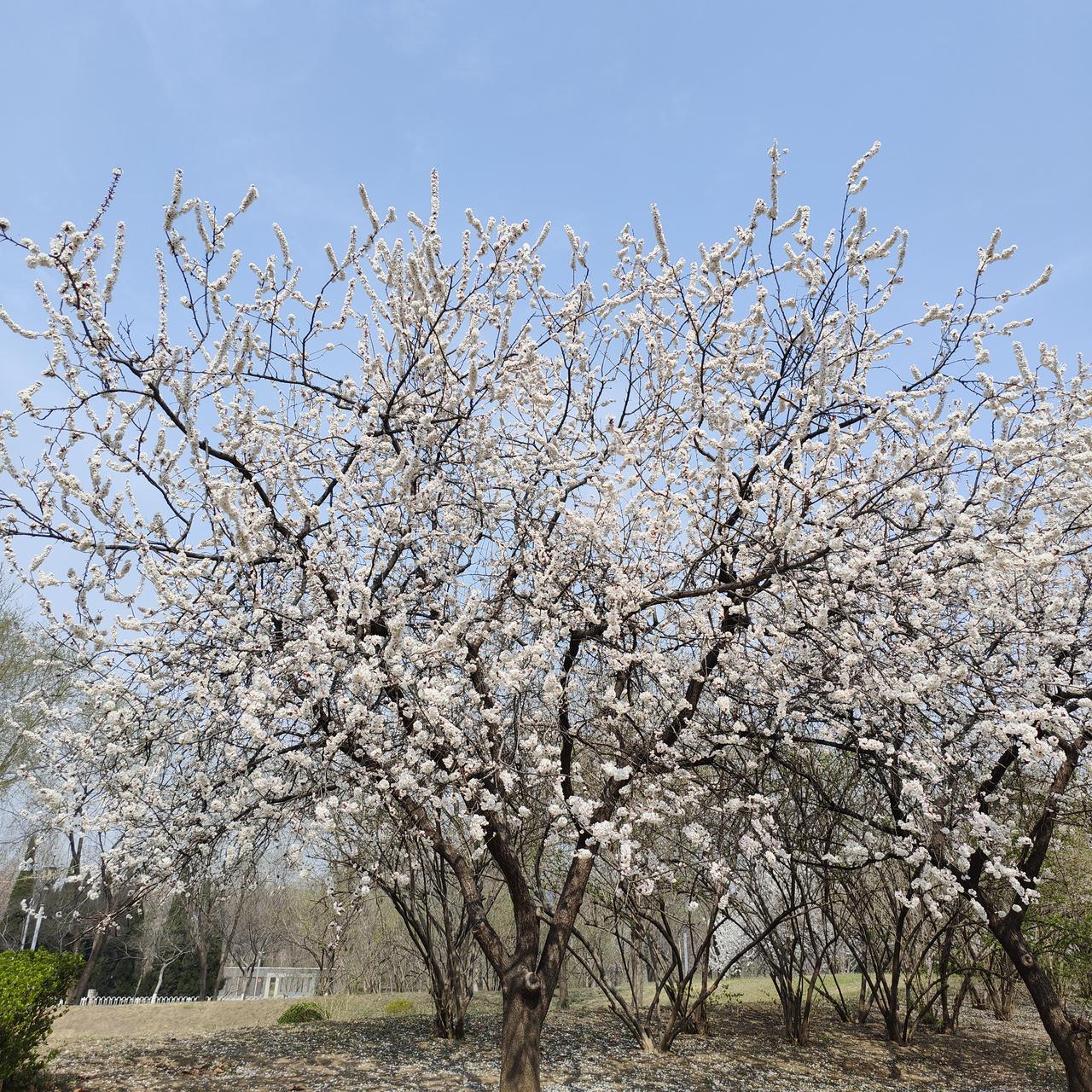 运动本身不是猝死的元凶，不当运动叠加潜在基础疾病，才是引发猝死的核心诱因。
这是