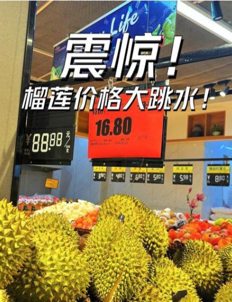榴莲价格大跳水，普通人实现榴莲自由！

今年榴莲终于放下 “天价身段”，海运金枕