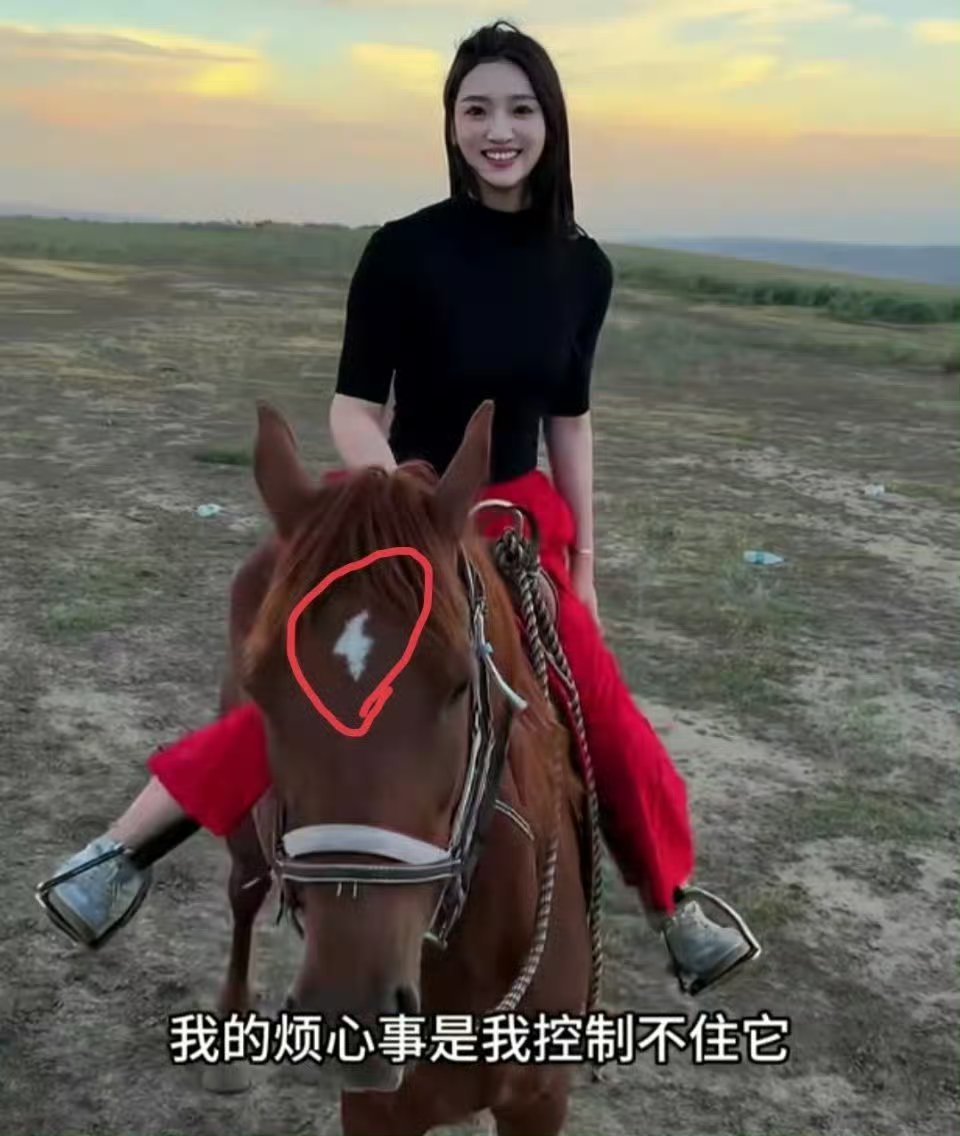 哈哈哈哈哈哈哈我去 
