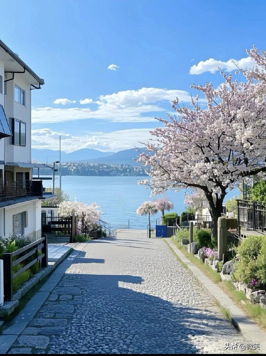 🌸 被这条下坡路治愈了
 
谁懂啊！推开窗就是一整片湖光山色，粉樱花把春天都揉