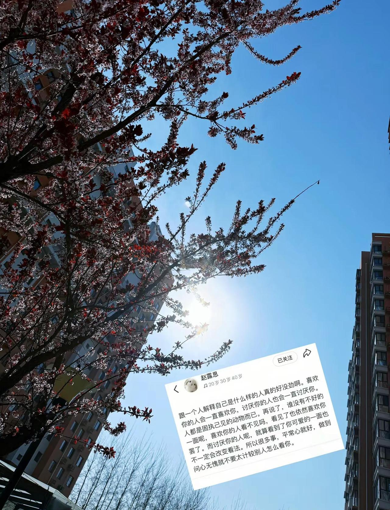 我的穿搭 我枯燥的头发摔伤的淤青 眼角的黑眼圈 不开心喜欢闷着的性格 你不喜欢的