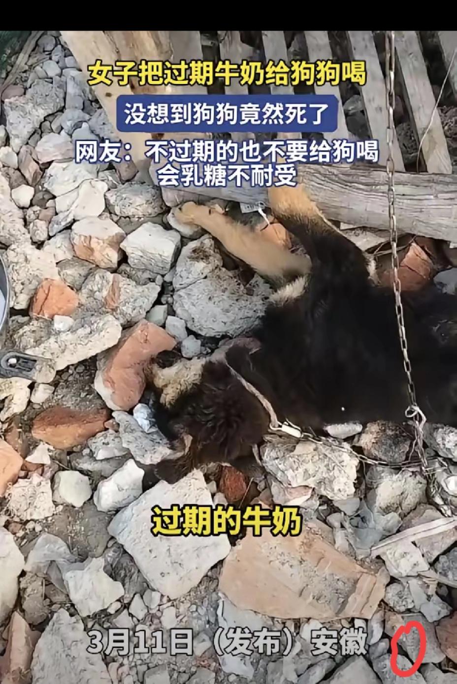 很多时候，毁掉小生命的不是恶意，而是自以为没错的好心。安徽这位女子舍不得扔掉过期