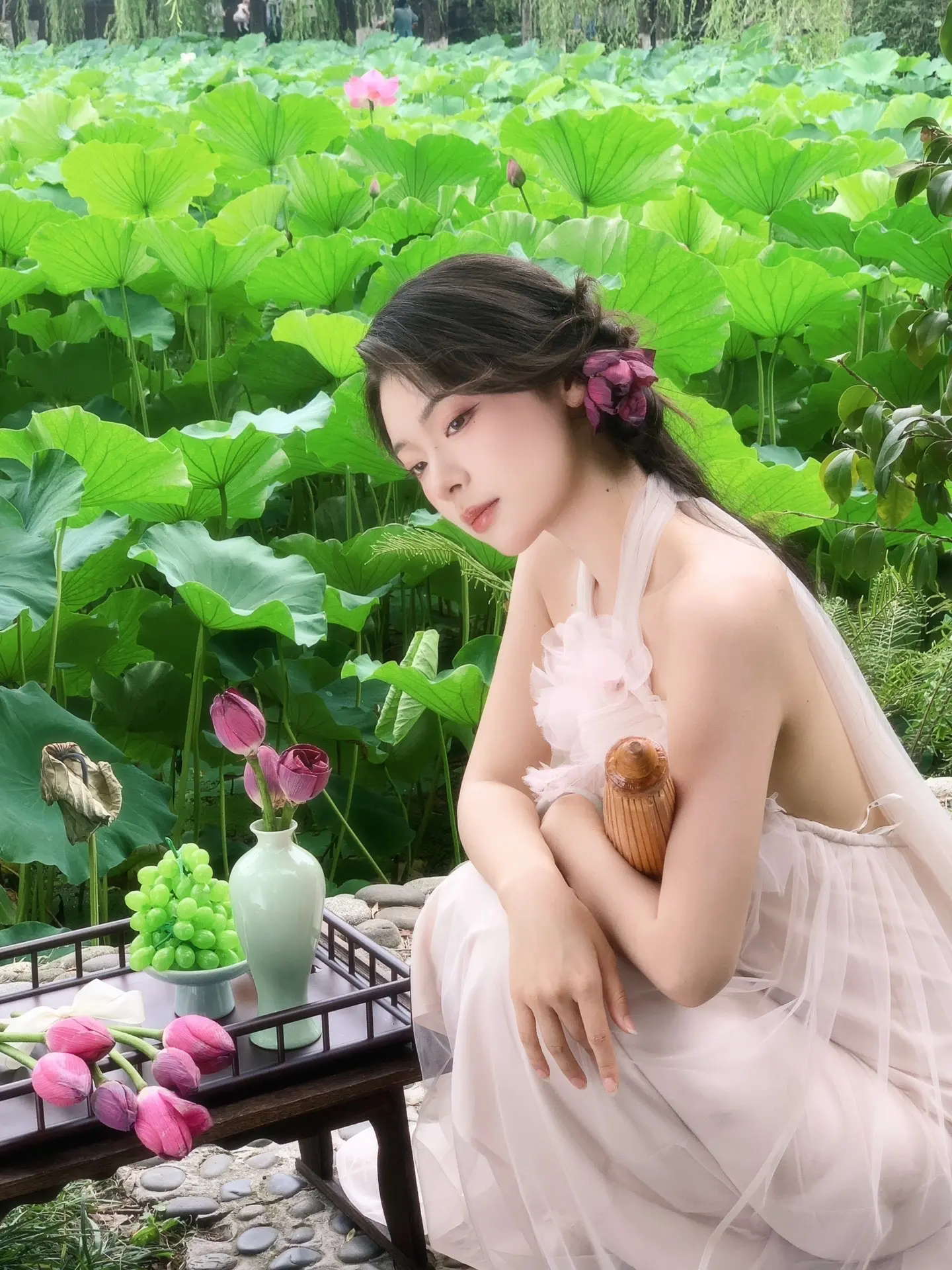 拍荷花啰~