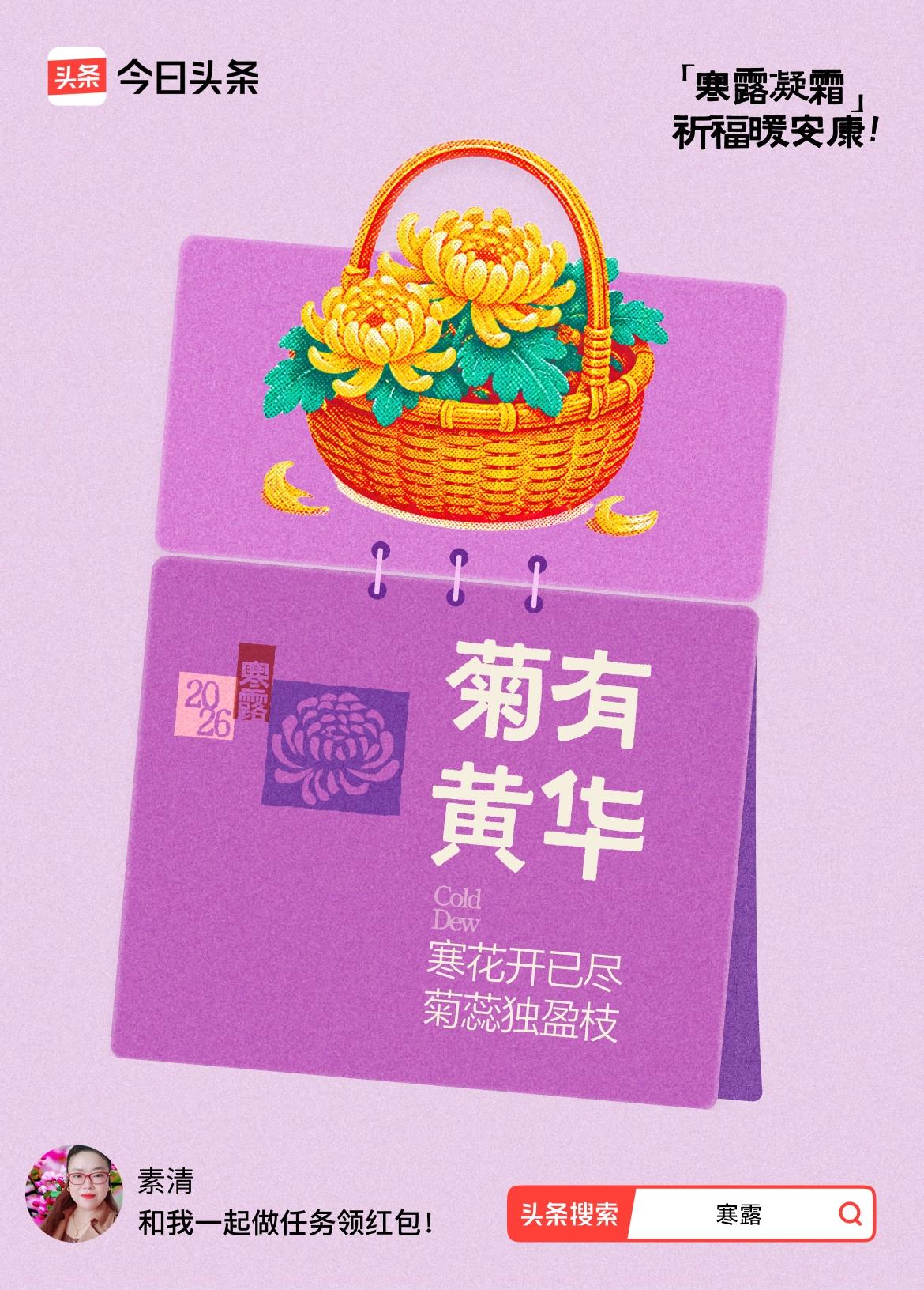 >
寒露赏黄菊，祈福暖安康
 
📍四川资阳八粮堰
打卡寒露·祈福暖安康
 
寒