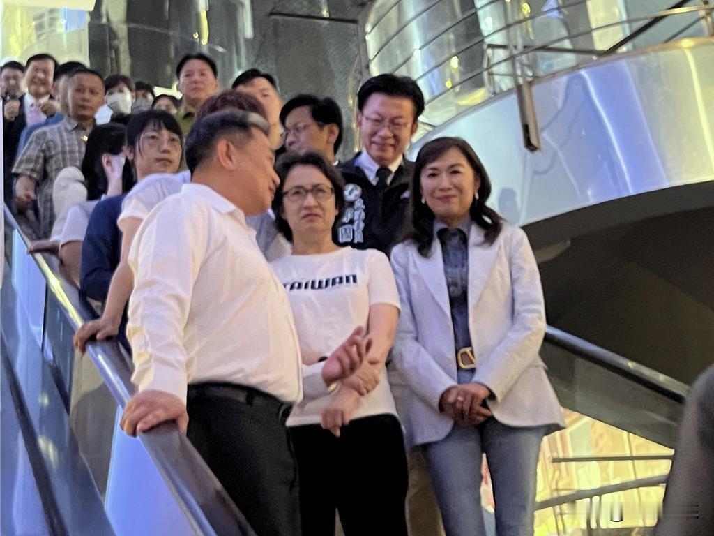 赖系大将又出包？绿委林宜瑾立院办公室遭搜索

今天（21日）一早检调前往绿委林宜
