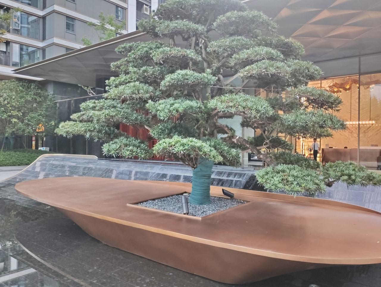 谢谢友师美评。您说的有道理。人生真的是一台戏，要唱好还真的不容易。
虽然人生很短