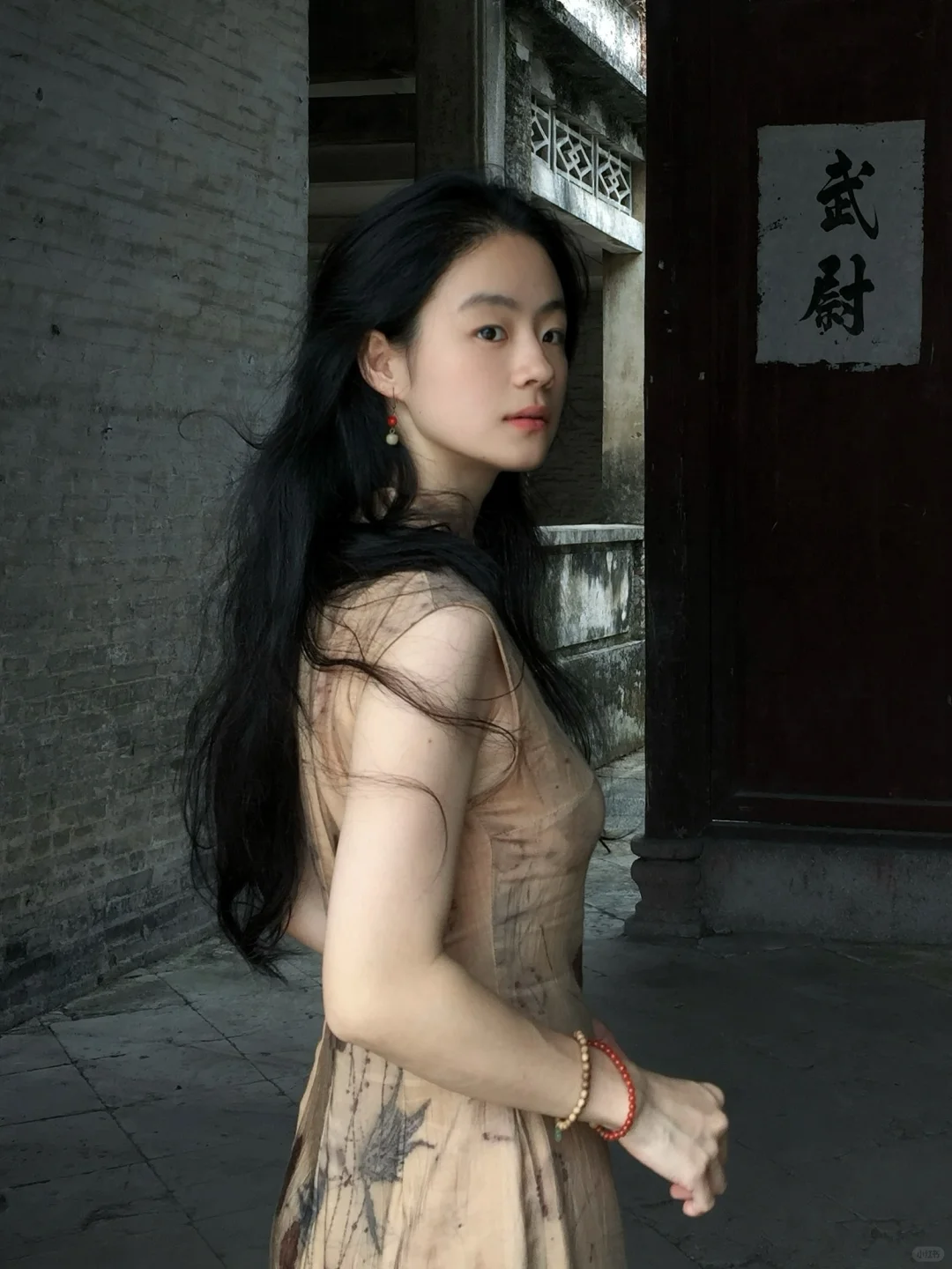 曾是惊鸿照影来