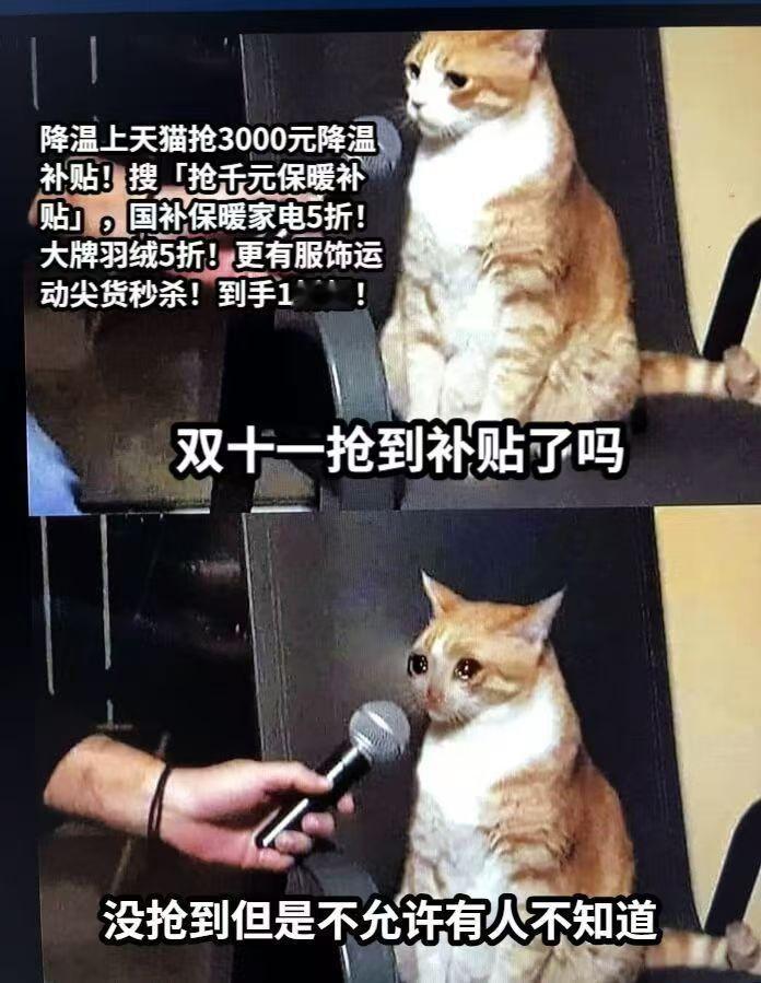 #降温上天猫领3000元保暖补贴#天猫真好，我瞬时间心里暖暖的，赶紧抢呀等什么呢