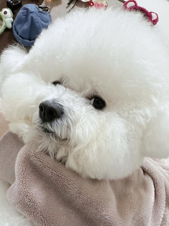 妈你看我45度侧颜可不可爱