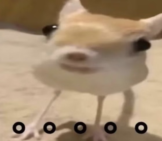 🐏个屁的tjt，再🐏红b都要掉了，还是蹭rs香 