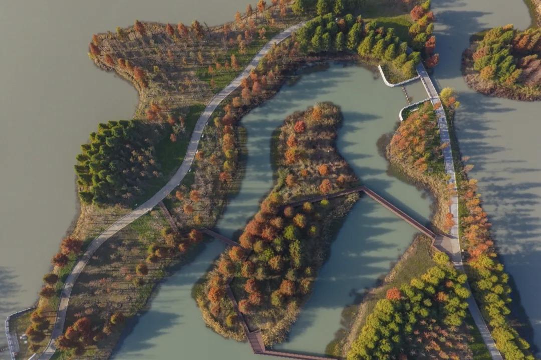 【你怎么看“二十岁爱是真的，五十岁不爱也是真的，爱到最后是老死不相往来，是熟悉的