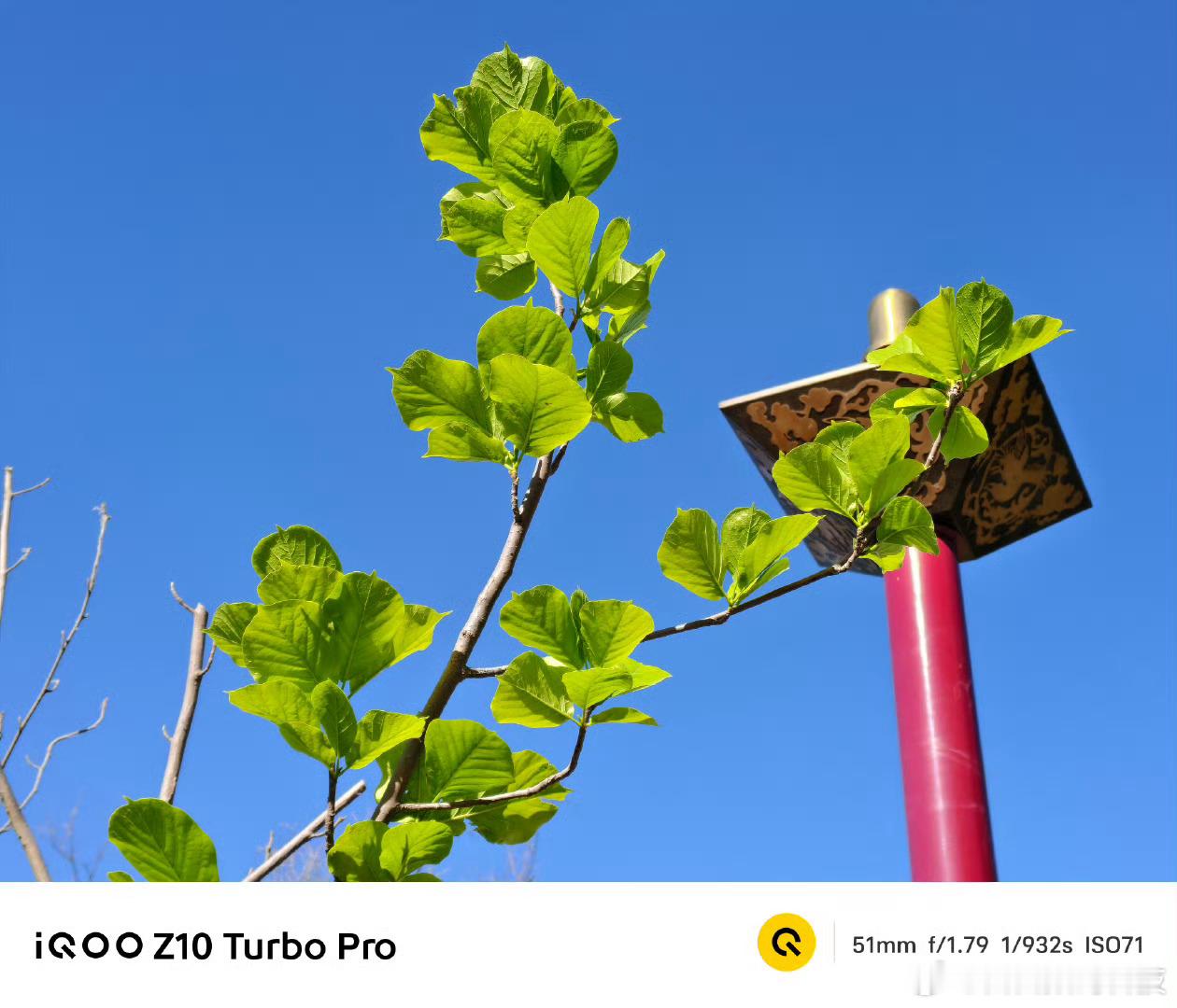 iQOO Z10 Turbo Pro白天成像样张 ​外交部回应韩国偶像组合将赴华