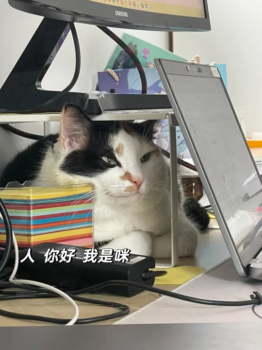 咪 请还给人工作的自由