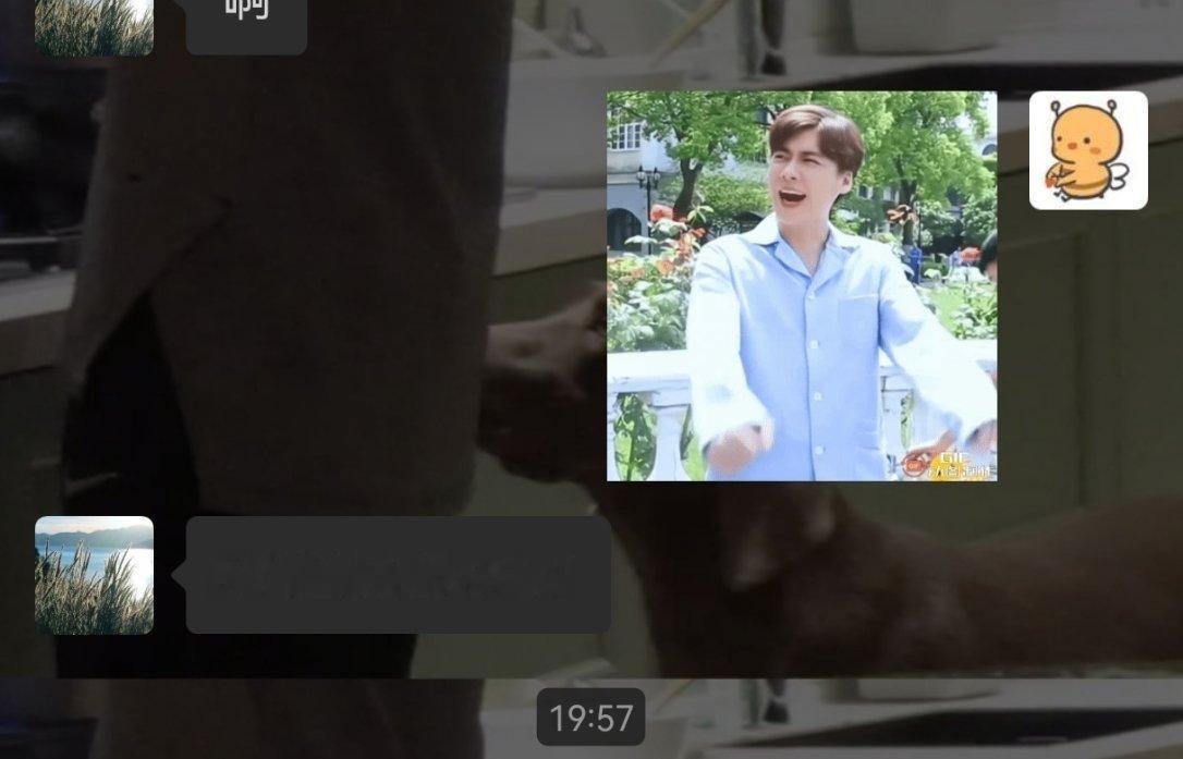 每次发这个表情包 我妈都会说这句话