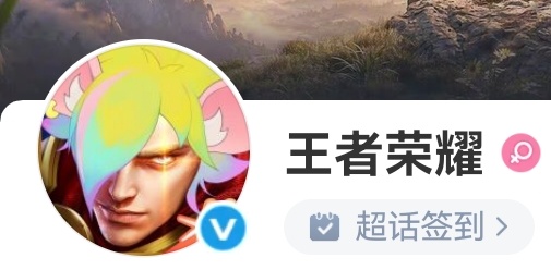 逆水寒王者荣耀王女士这个头像看起来很不好惹 