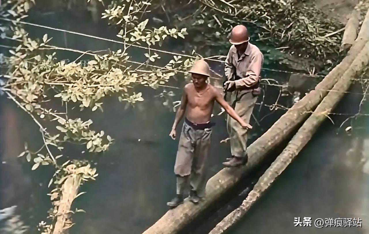 发现没有：鬼子在太平洋岛屿争夺战中，都喜欢赤膊出镜。

有人说，这还不好解答？因